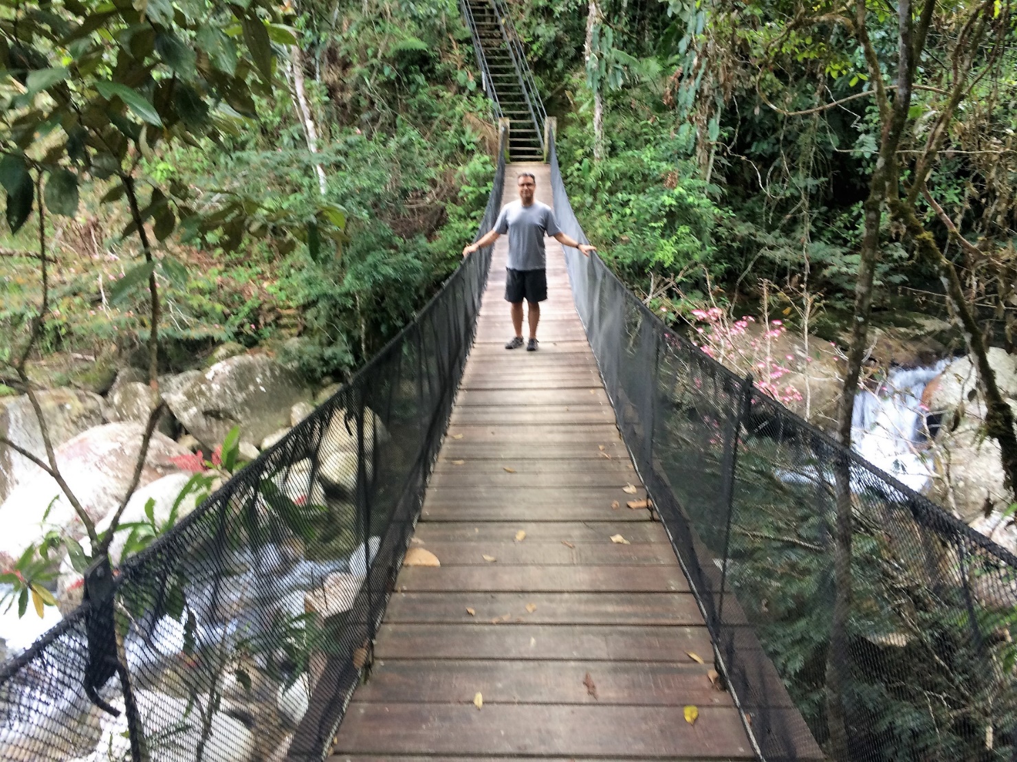 A bridge over a river Description automatically generated