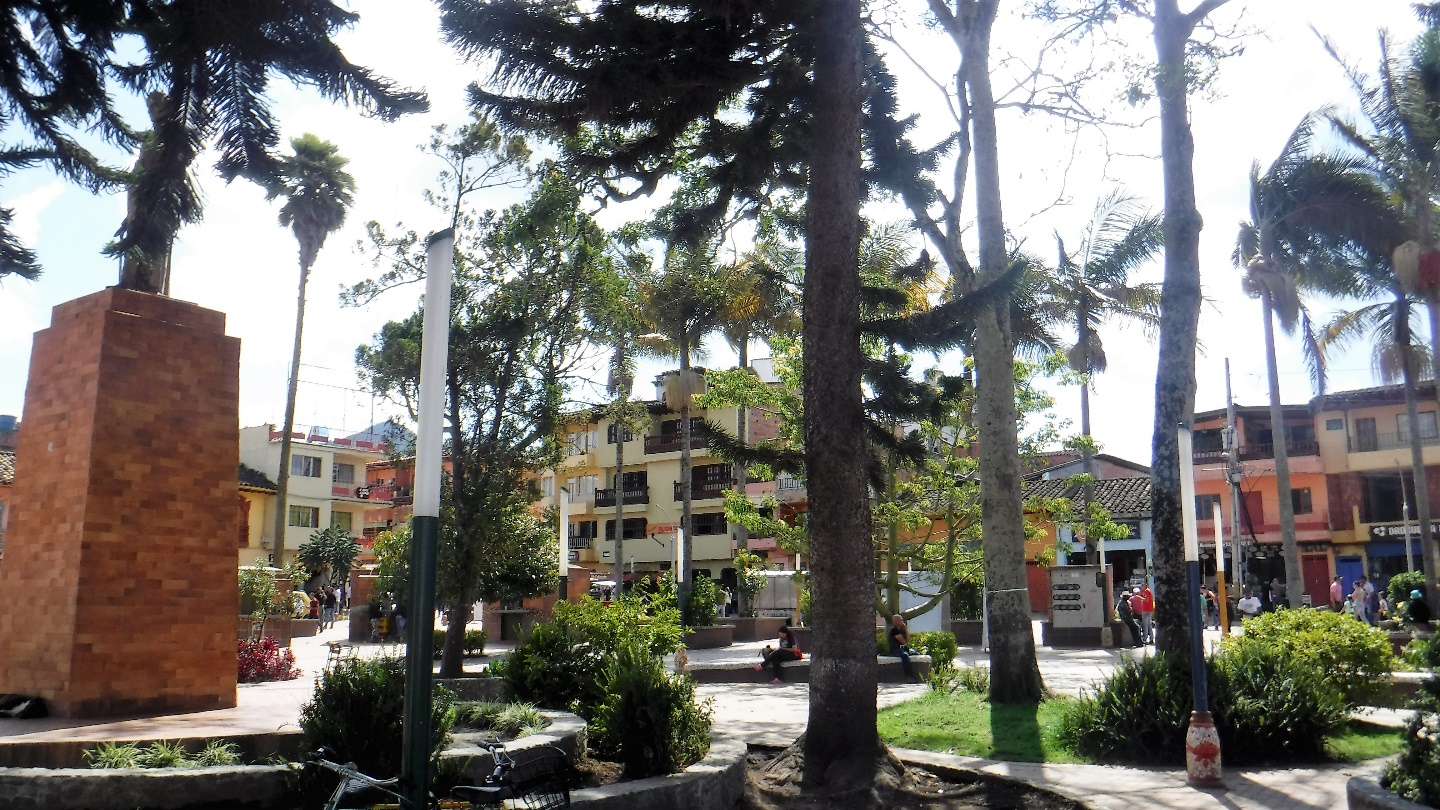 A tree in the middle of the street Description automatically generated