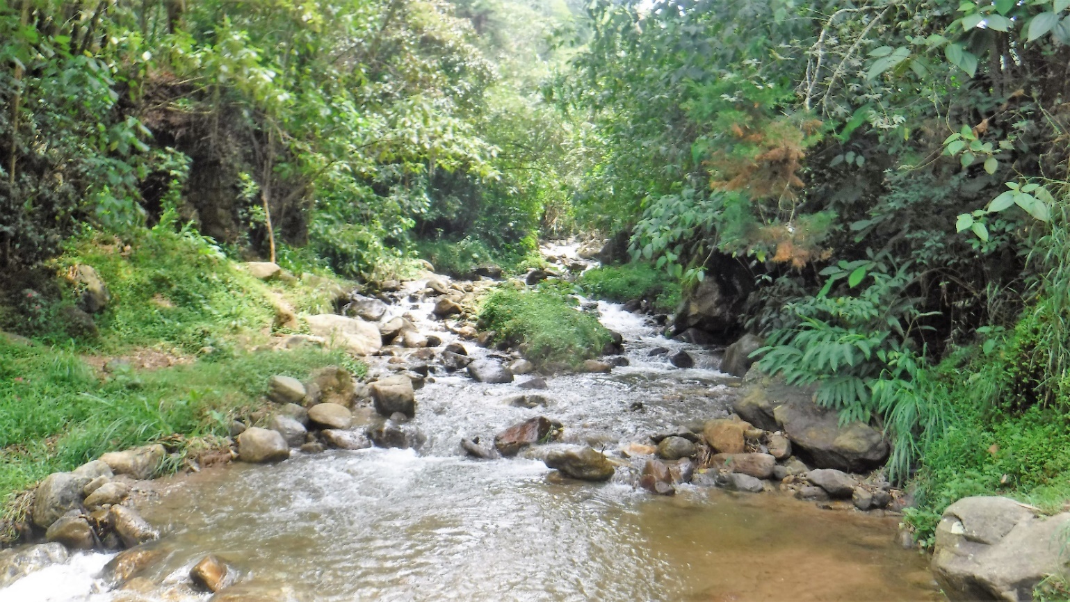 A river running through a body of water Description automatically generated