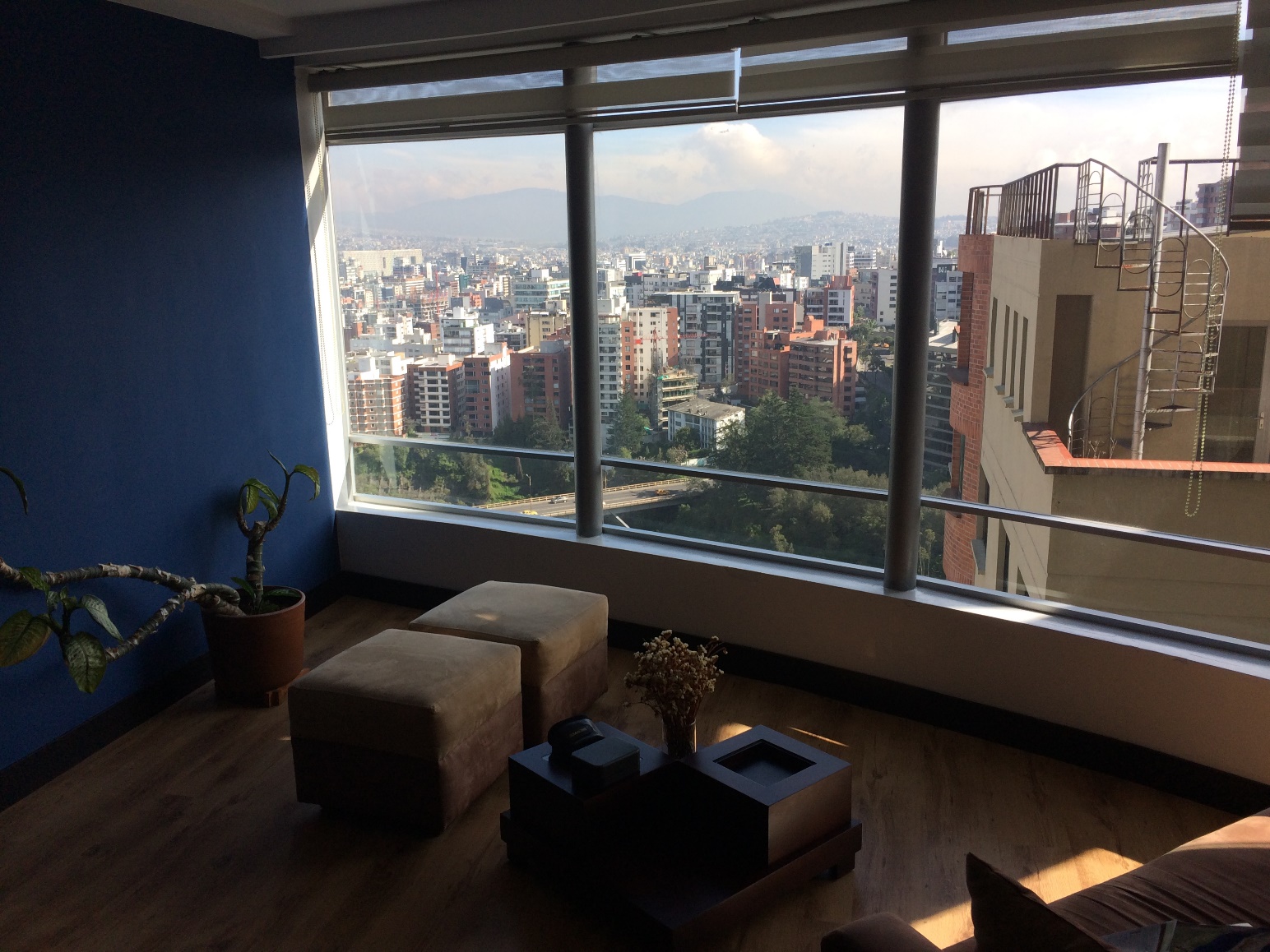 A view of a living room with a large window Description automatically generated