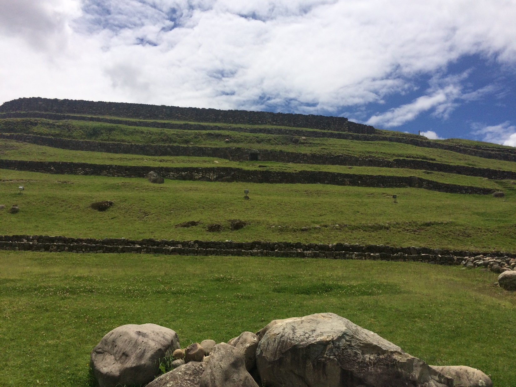 A picture containing grass, outdoor, sky, field Description automatically generated