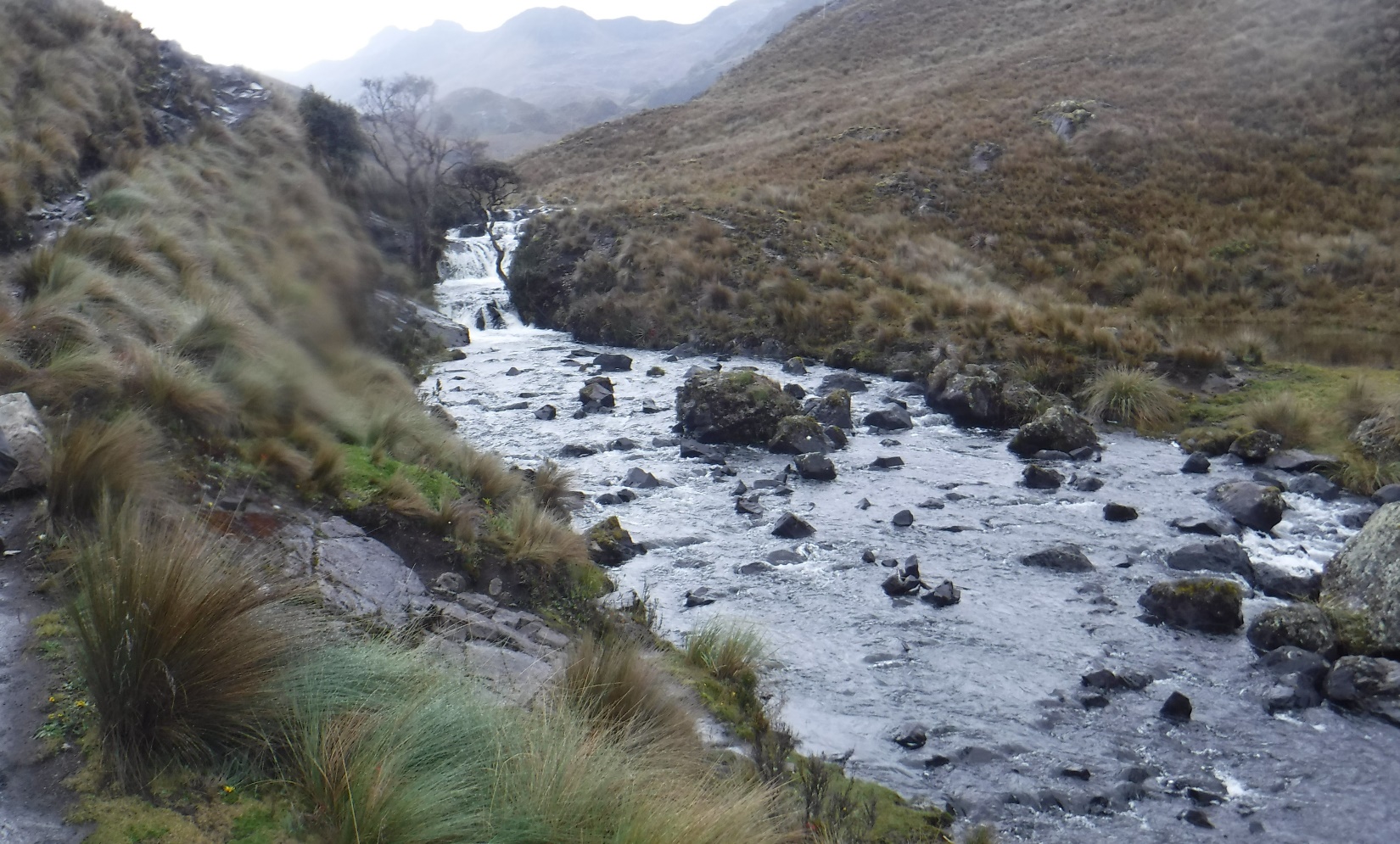 A picture containing outdoor, mountain, grass, nature Description automatically generated