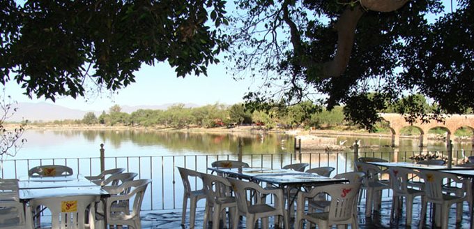 A picture containing tree, outdoor, table, water Description automatically generated