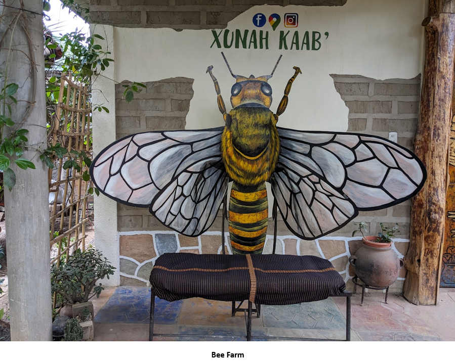 A bee on a bench Description automatically generated