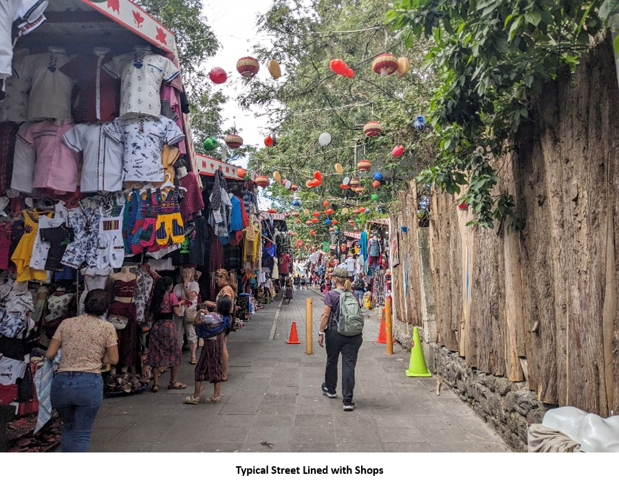 A street with many shops and people Description automatically generated with medium confidence