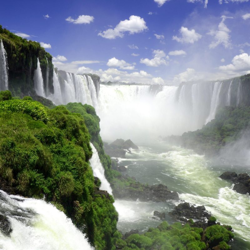 A waterfall with green vegetation Description automatically generated with medium confidence