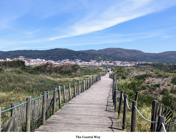 A wooden walkway leading to a city Description automatically generated